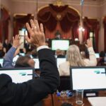 diputados-votando-sarubi