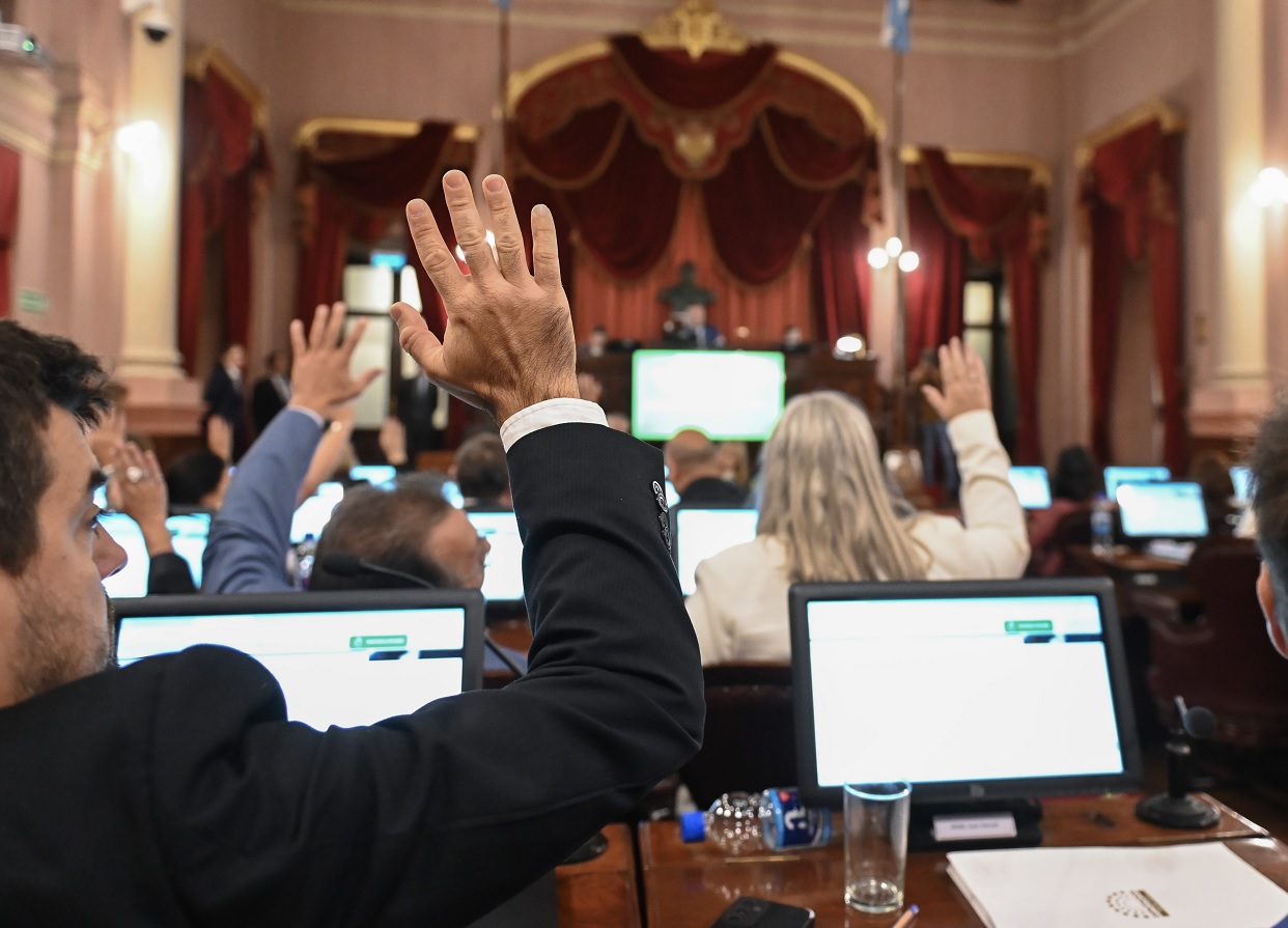 diputados-votando-sarubi