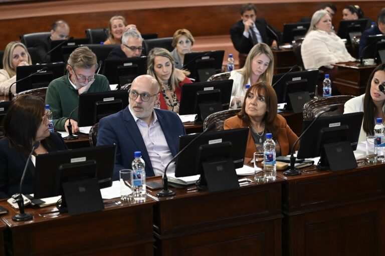 bloque-peronista-diputados